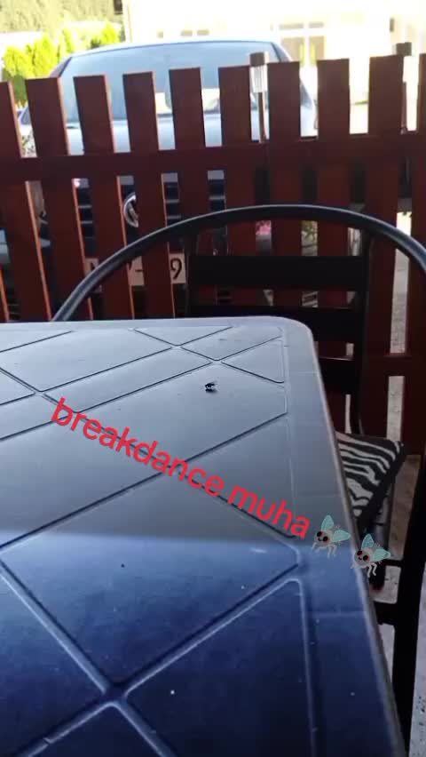 @ćizaR senriM