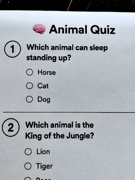 @Quiz Review