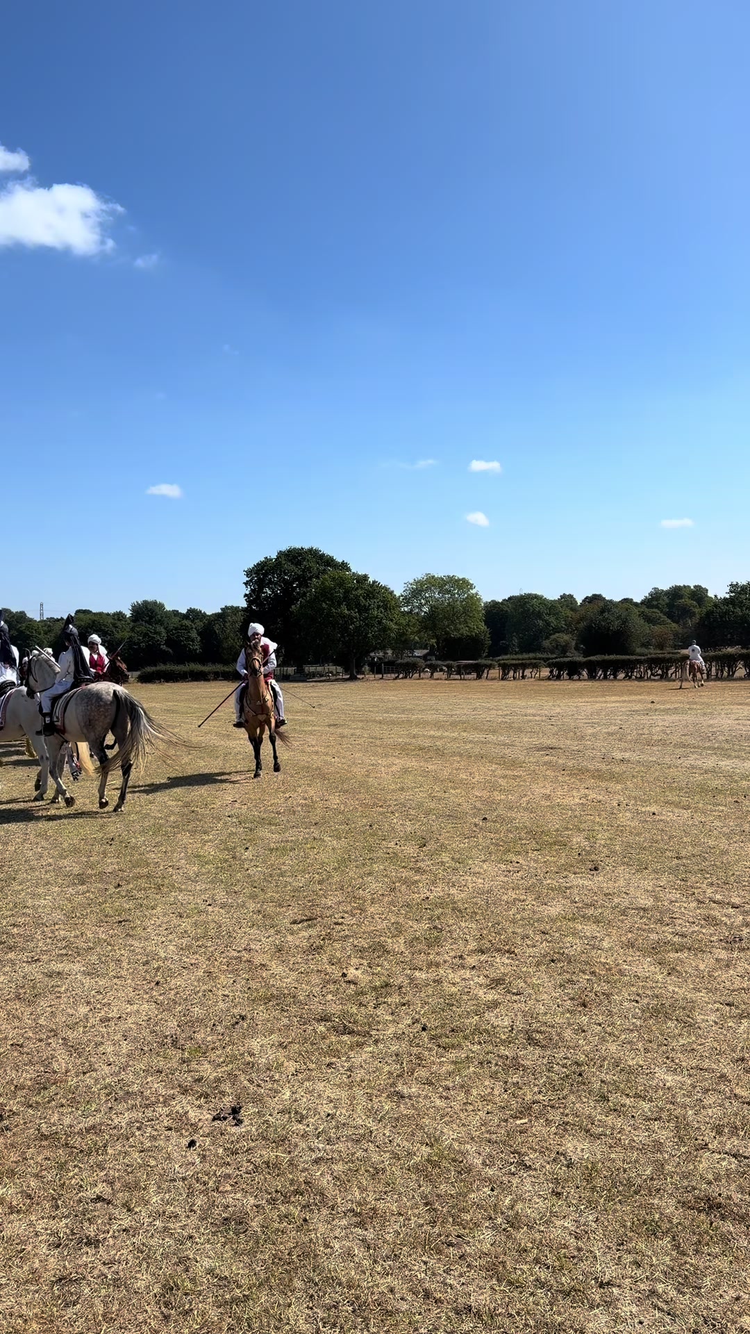 @Slough horses