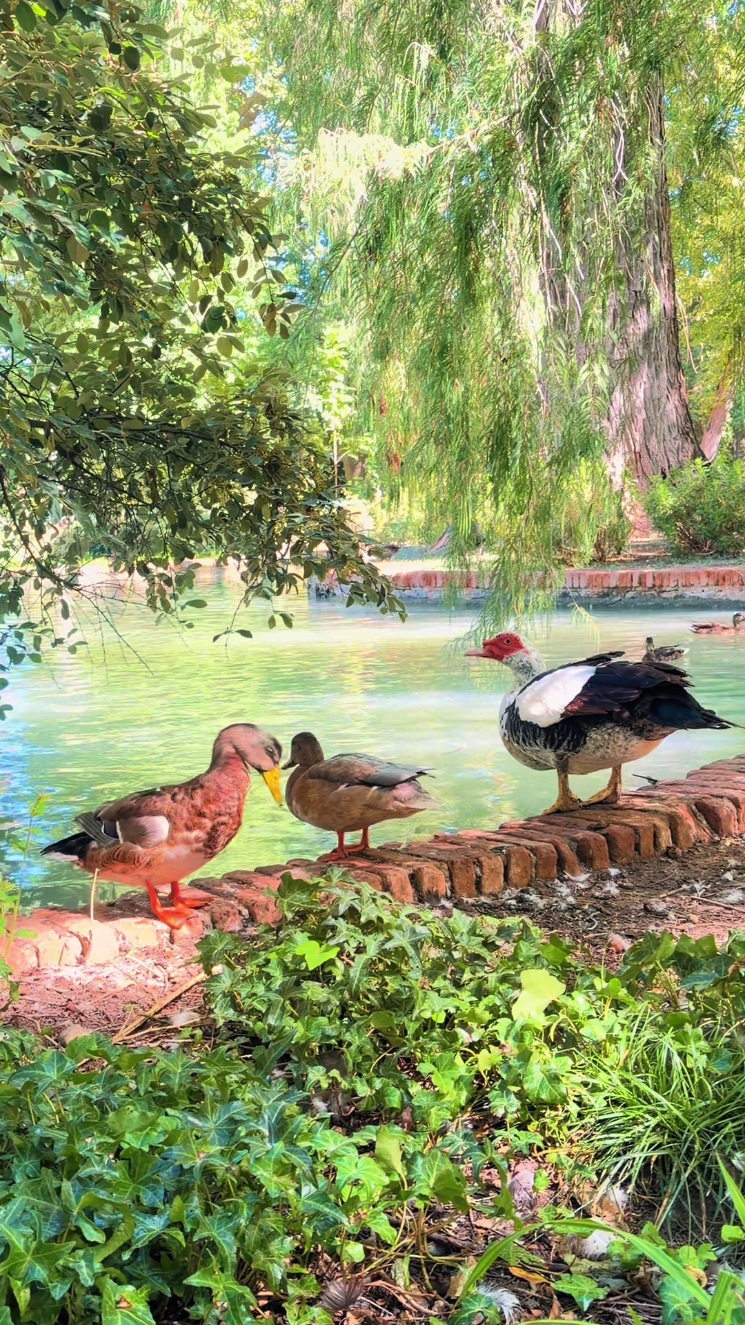 @Nat NATURE