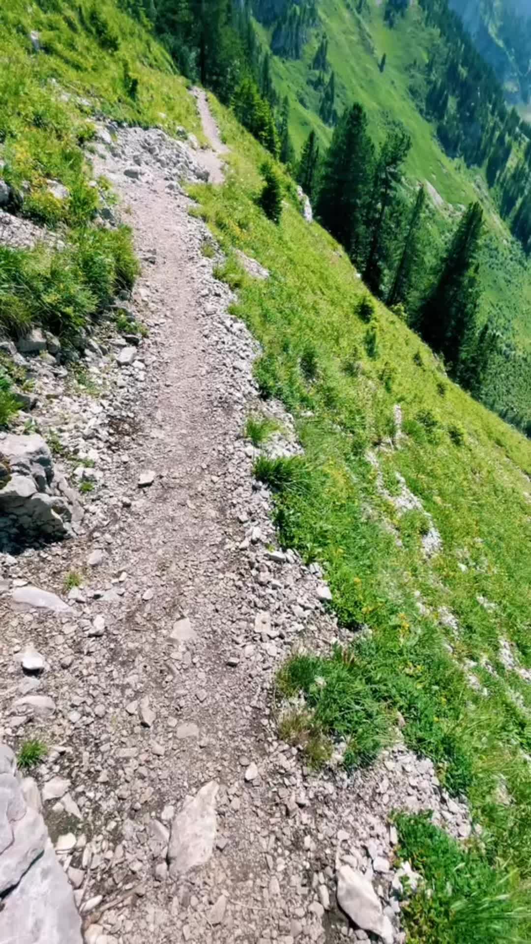 @TatuSwiss🇨🇭❤️🇳🇵
