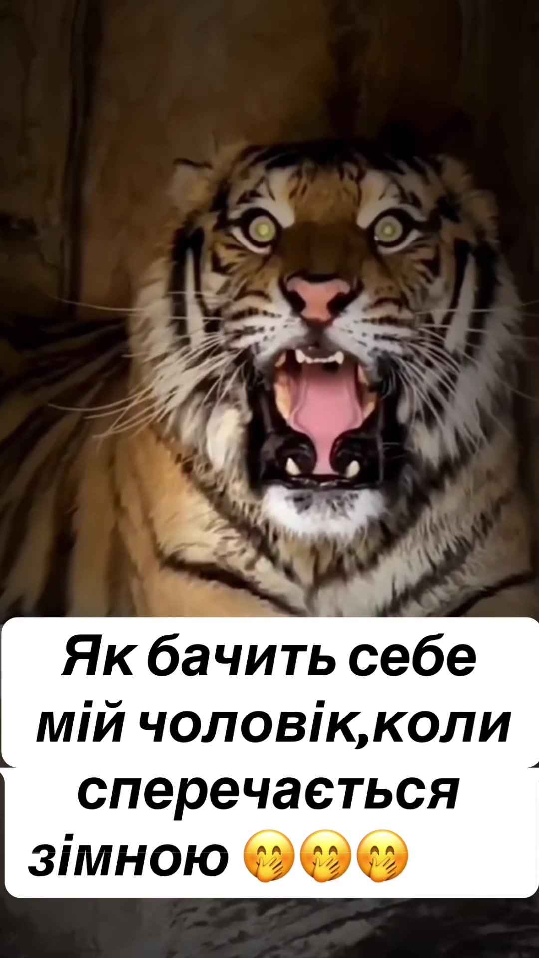 @Ravkova