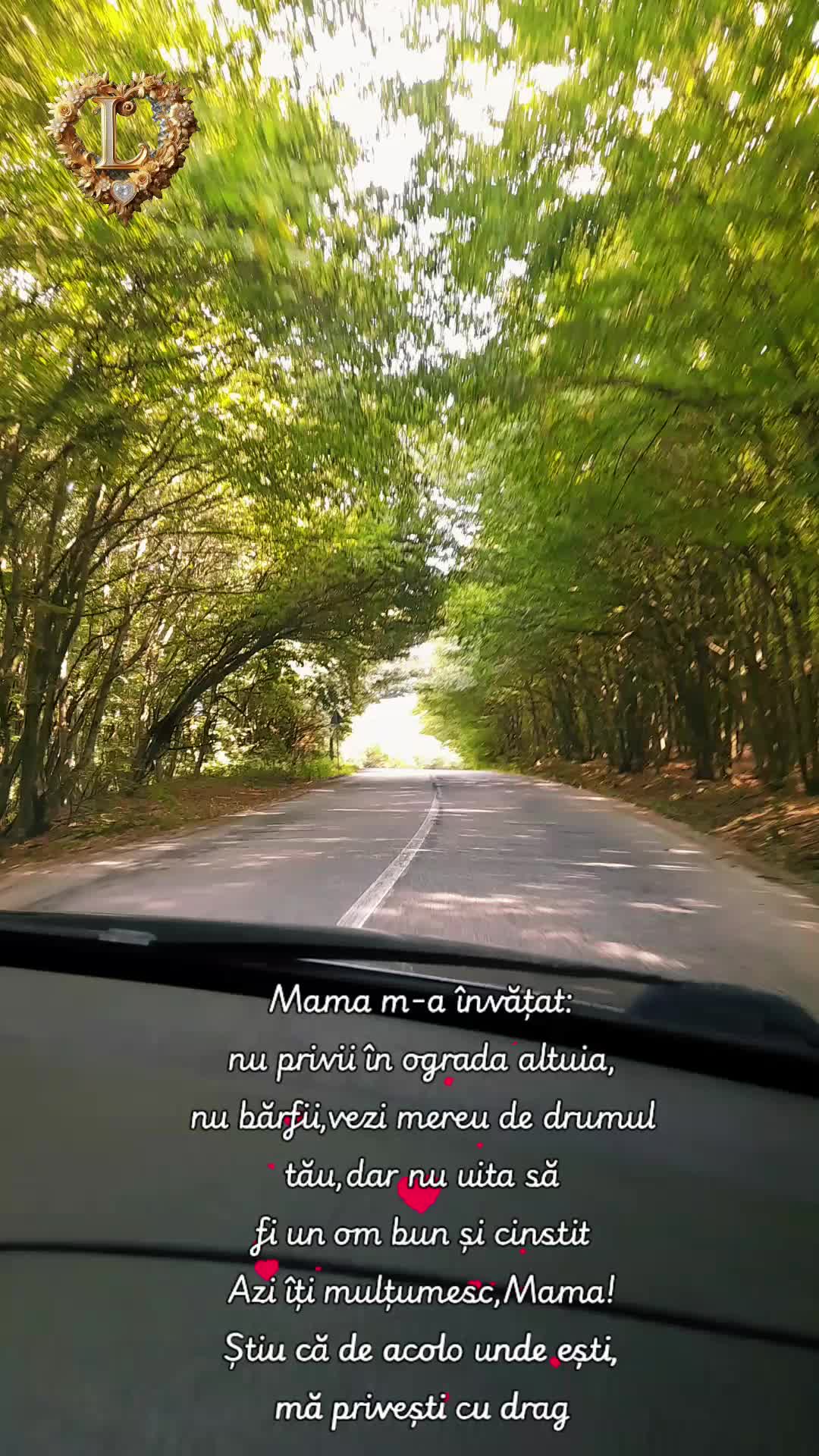 @❤Lupulmeuadorabil❤