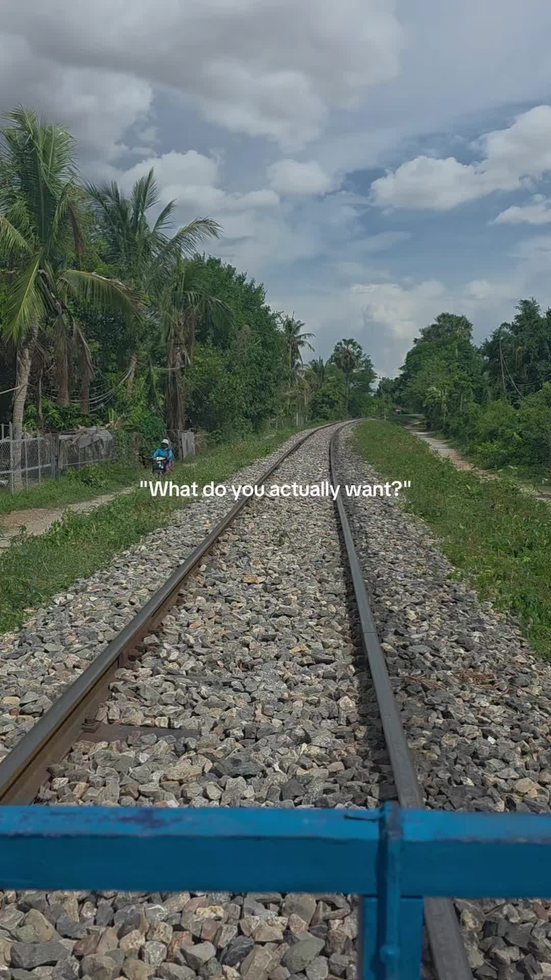 @Zoo Jack