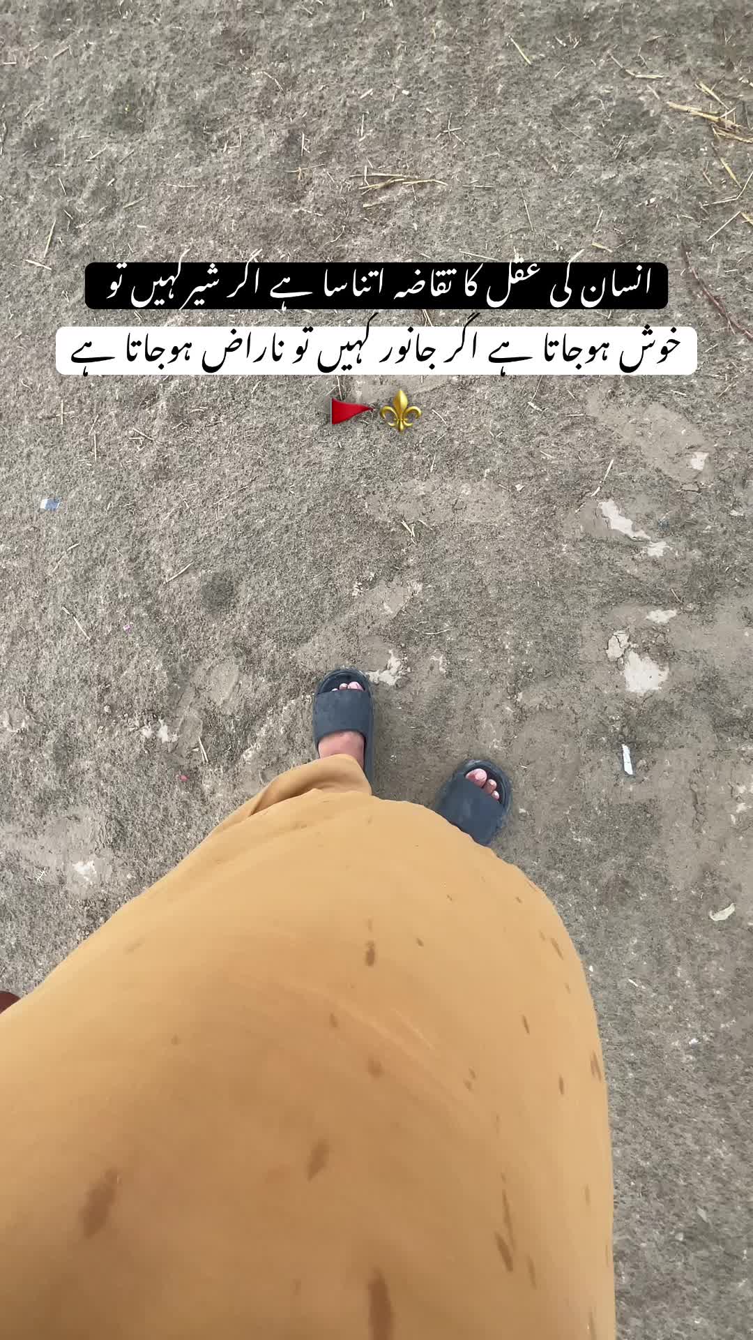 @رحمانی 🪐
