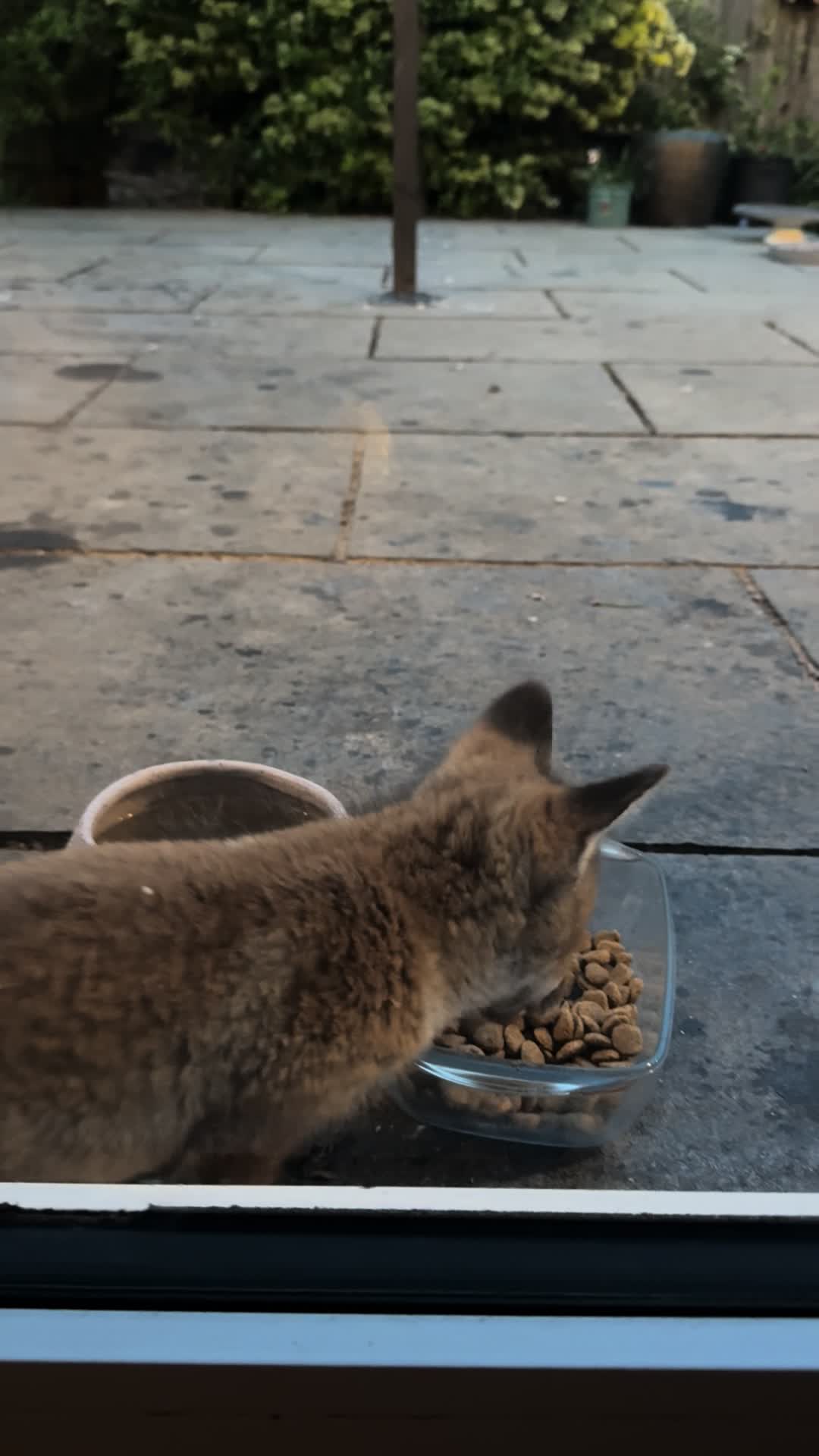 @gp_wildlife