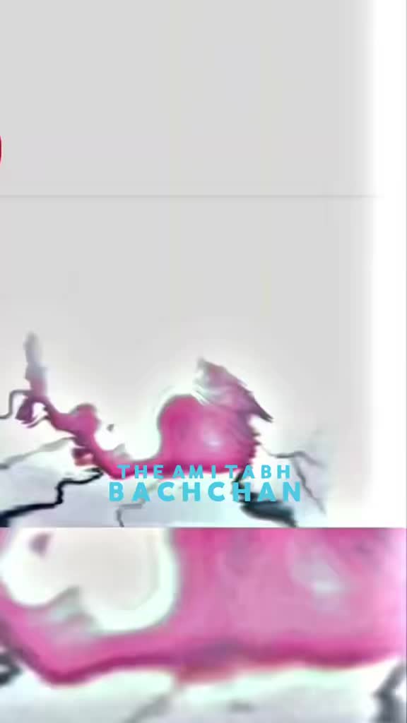 @๐๐๐๐๐๐๐ ๐๐๐๐๐๐๐N