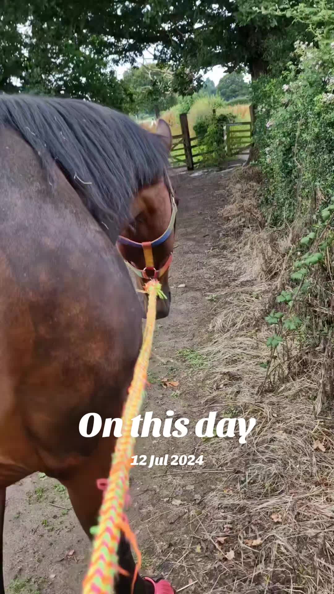 @WanderingWithWoody