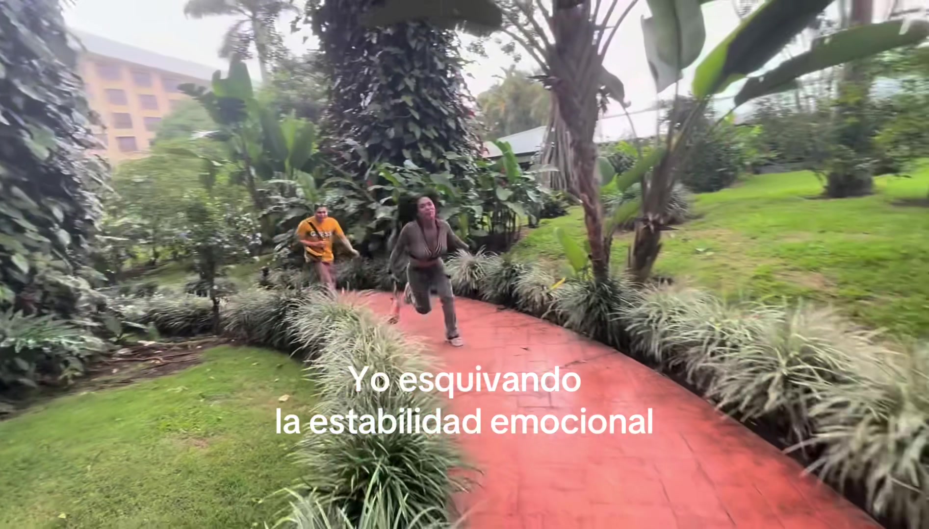 @perdidfans