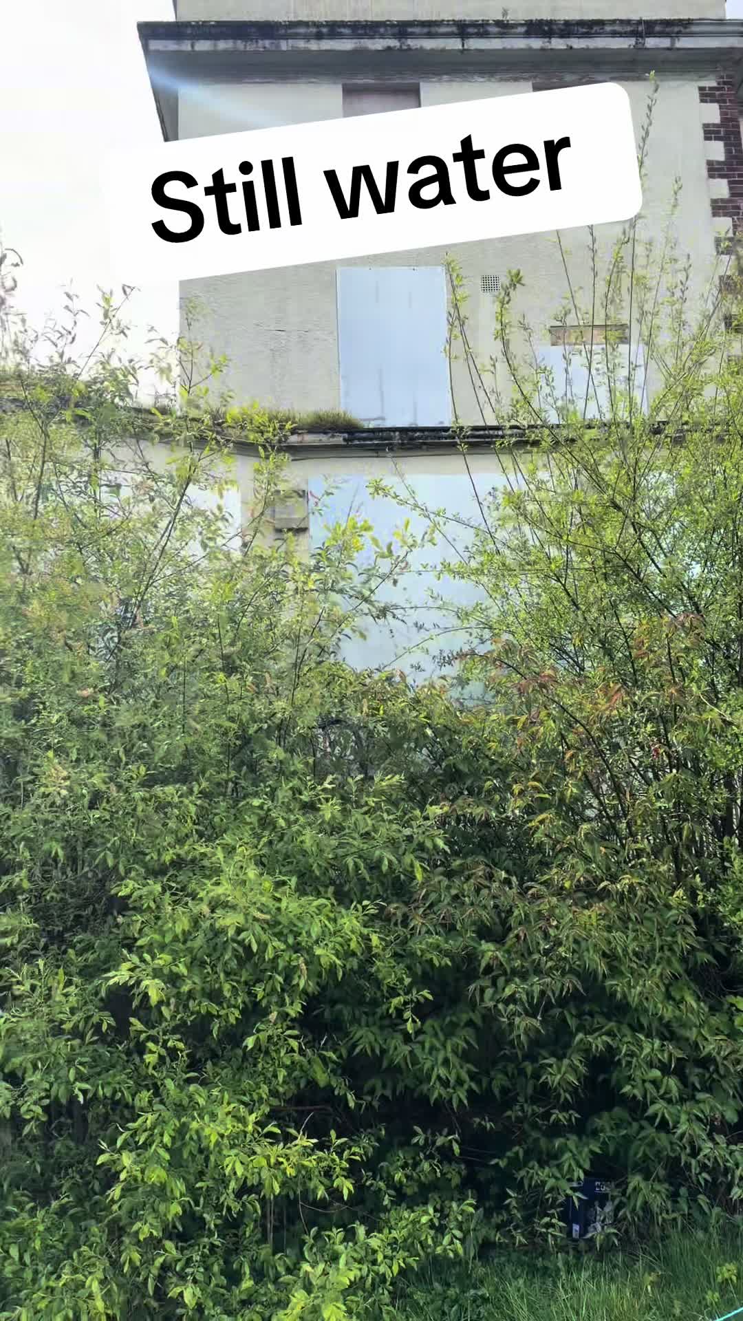 @Abandoned-709