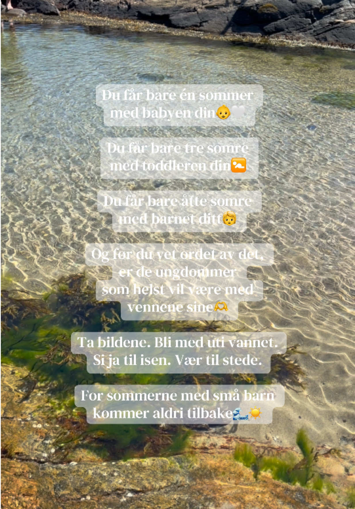 @RULLEMAMMAx4🦋👩🏼💻