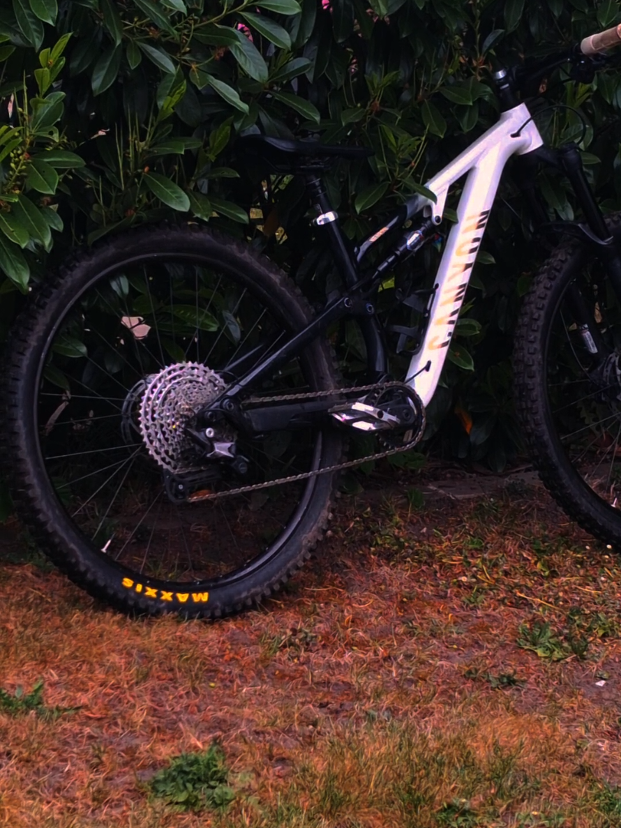 @dexter__mtb