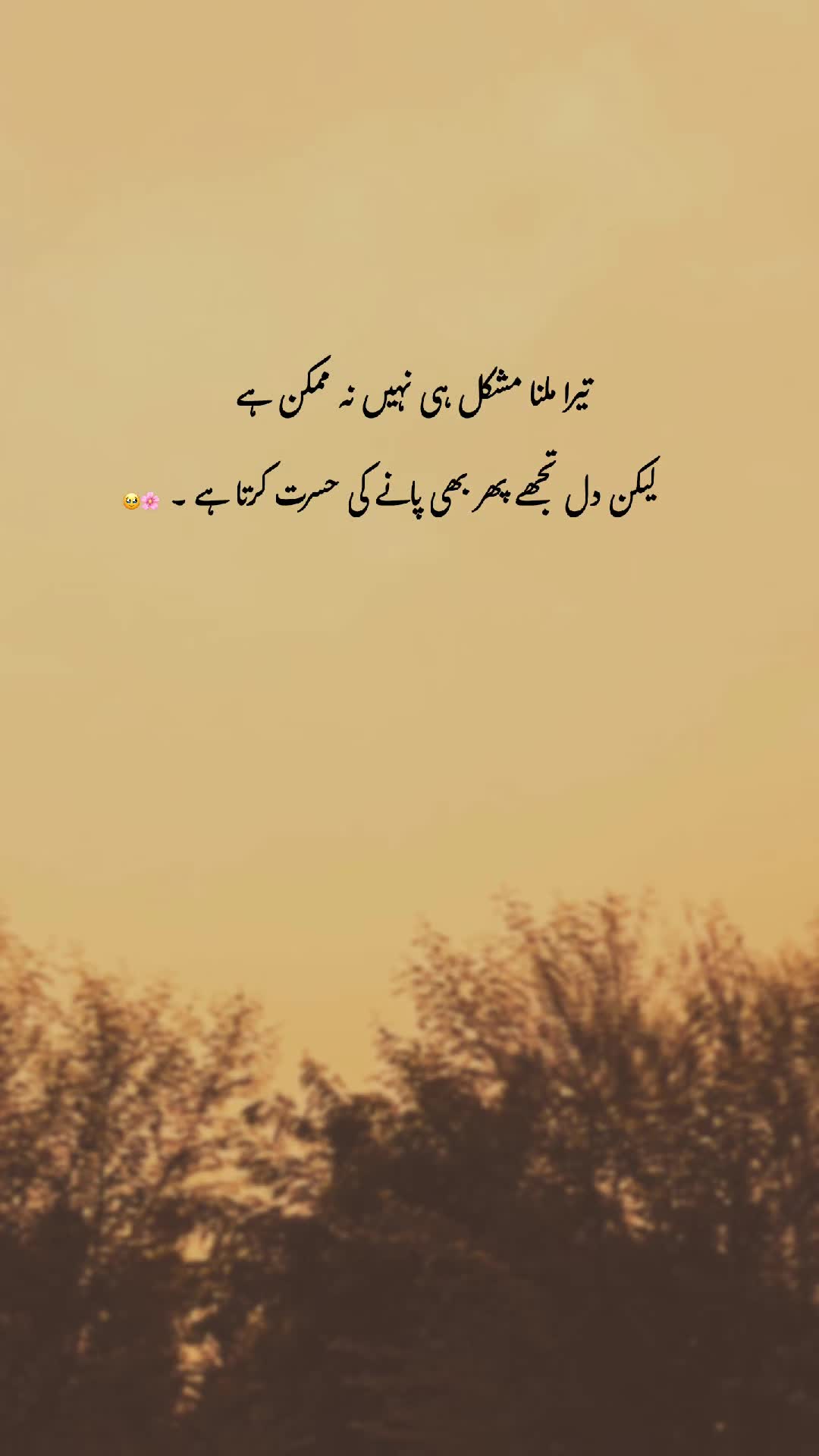 @𓆩♡𓆪
