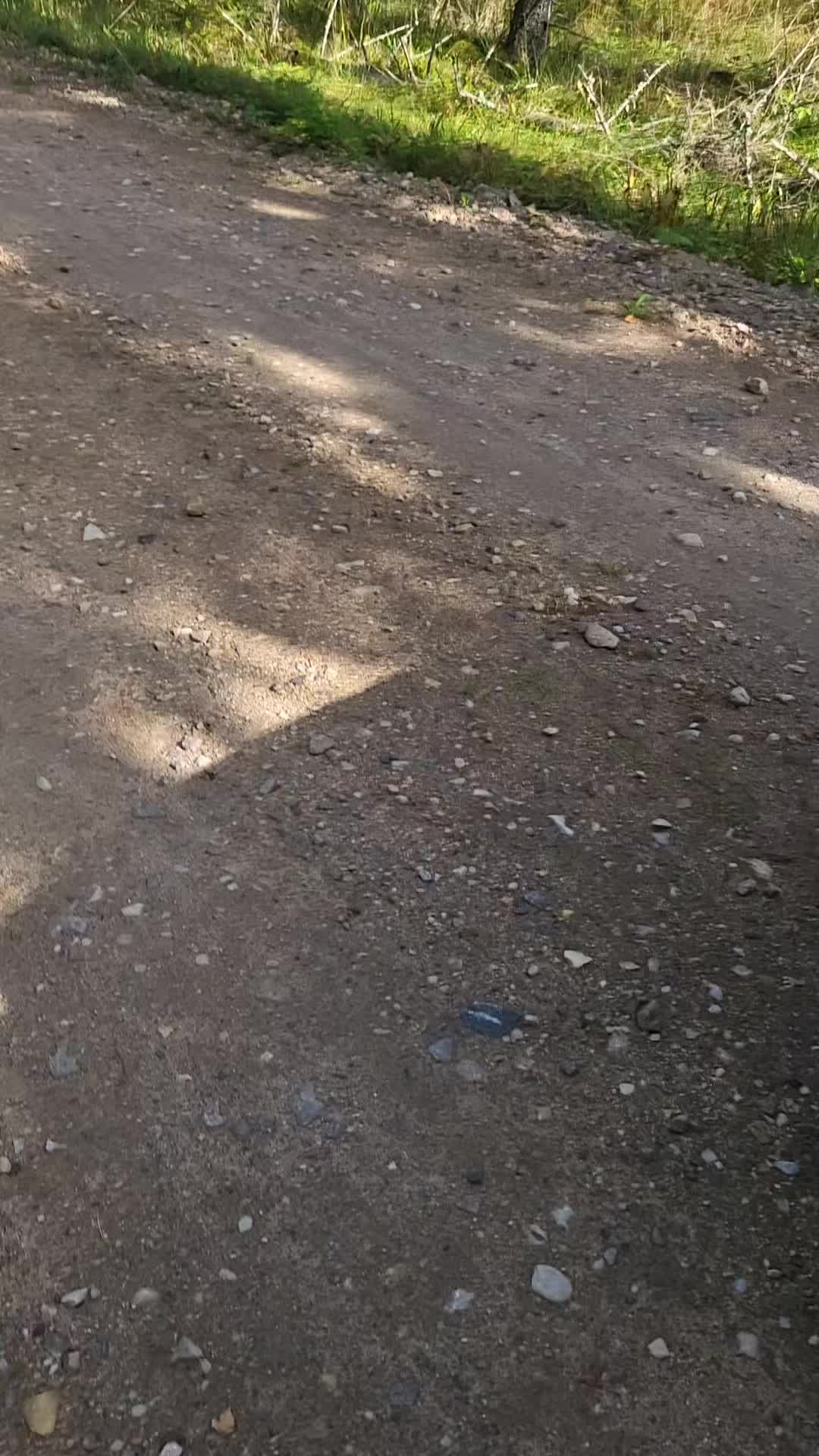 @_t_a_t_j_a_n_a_