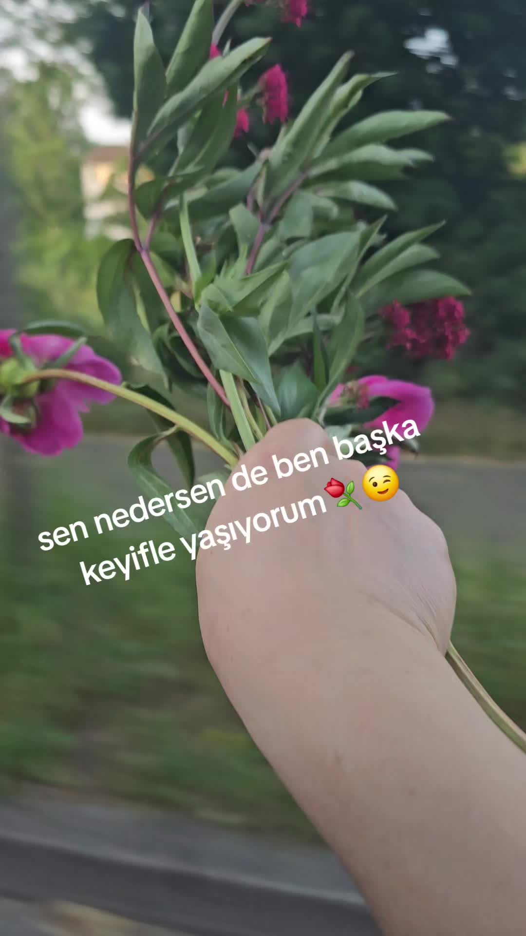 @Gurbetci1461 👨👩👧👦✨️
