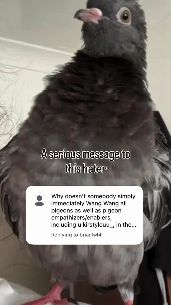 @Nekobutts 🐦