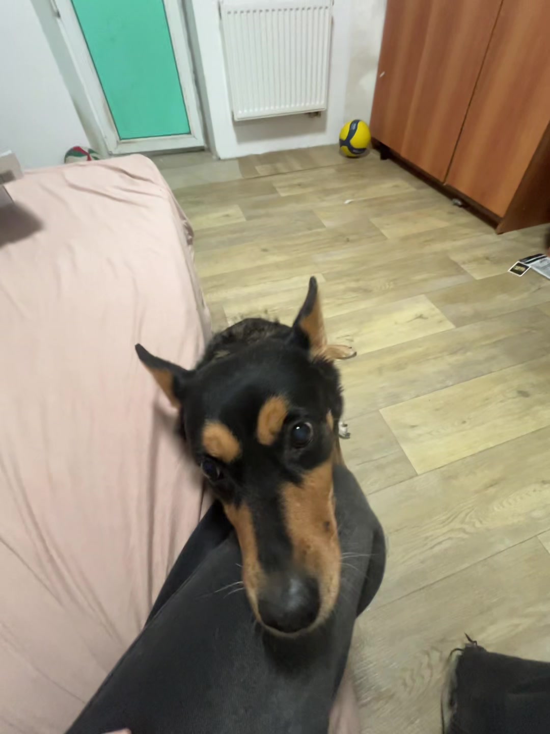 @bigdildo