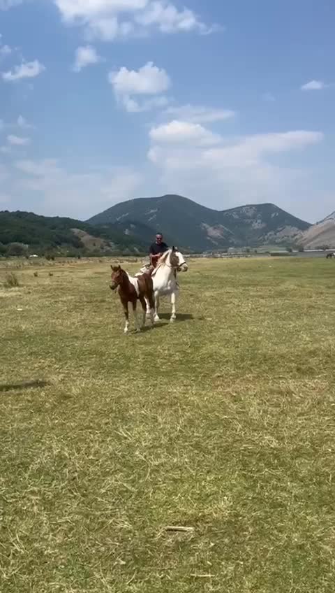 @Giovanni Salzillo