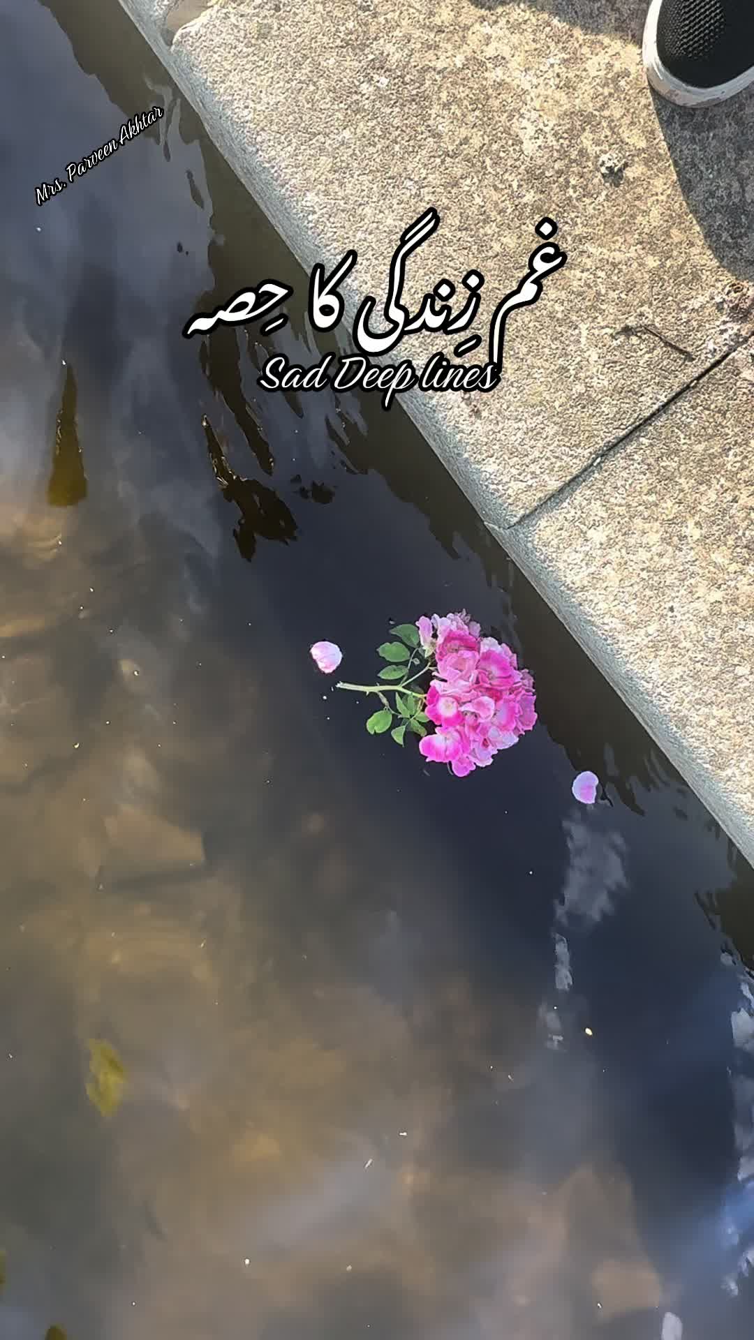 @Parveen Akhtar