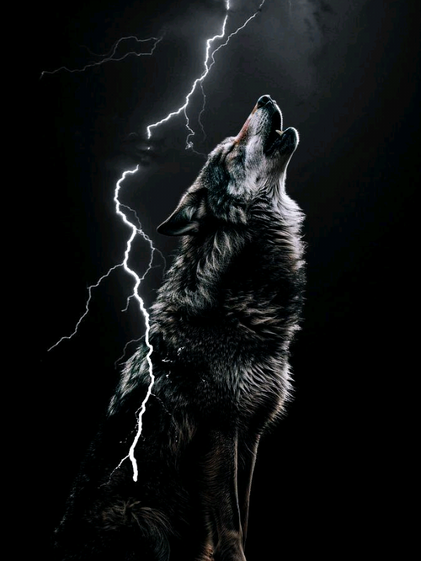 @★彡[ Jatt Sahib 2.0 🐺 ]彡★