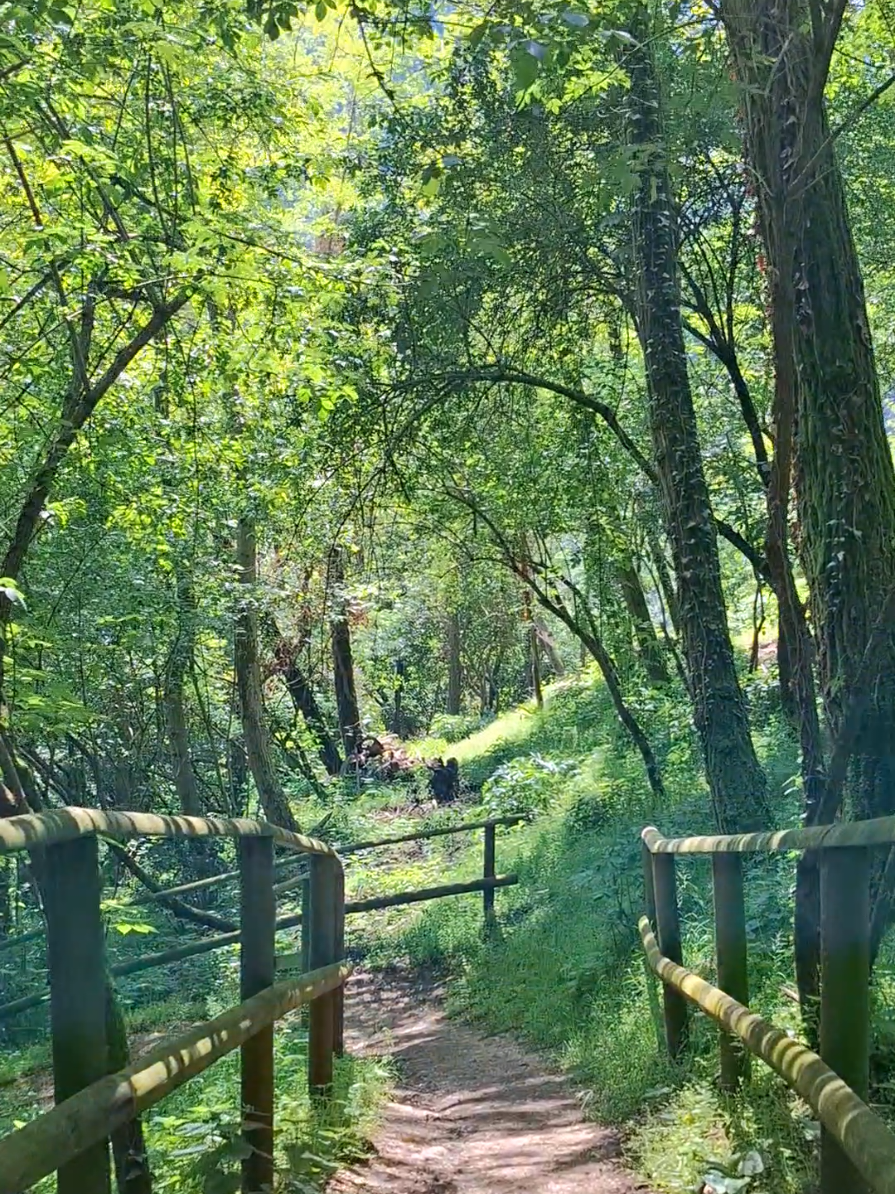@Adeli