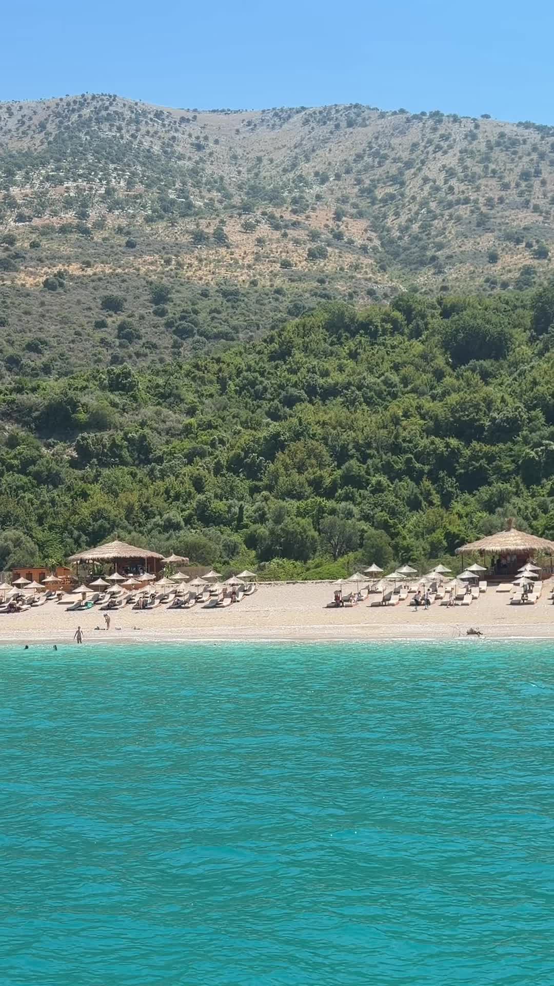 @isla