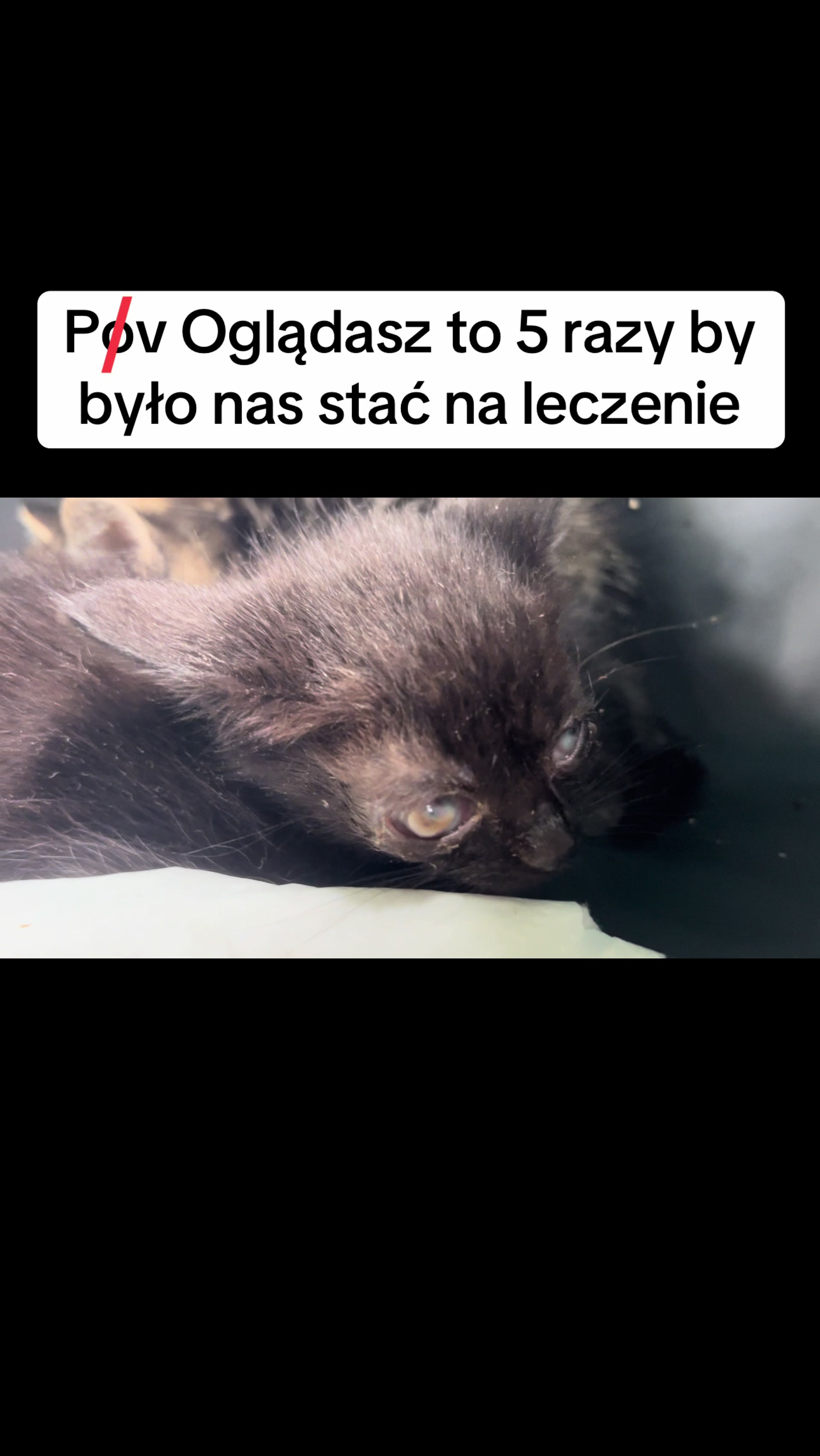 @Ratujemy