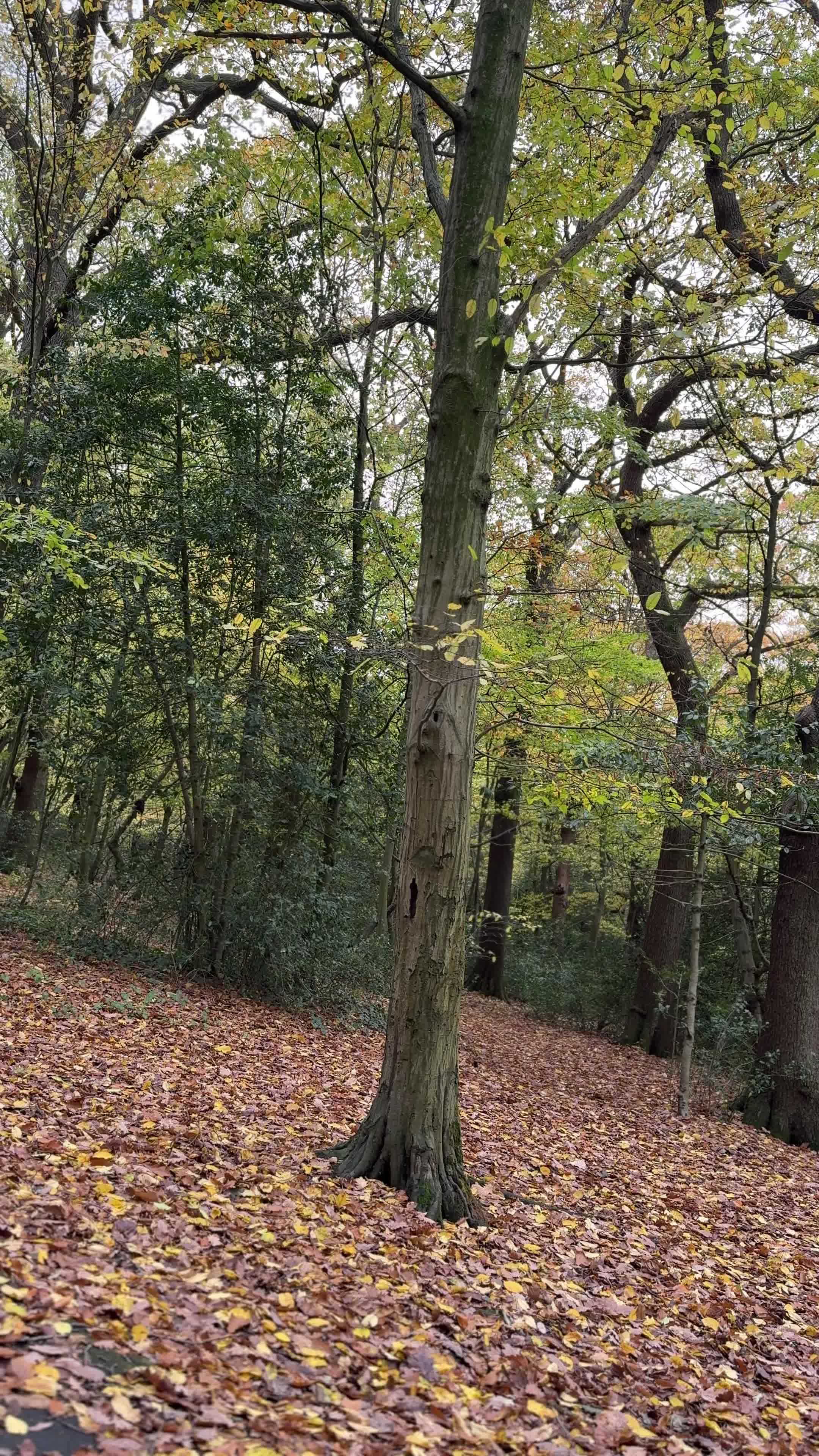 @mjhvlogs