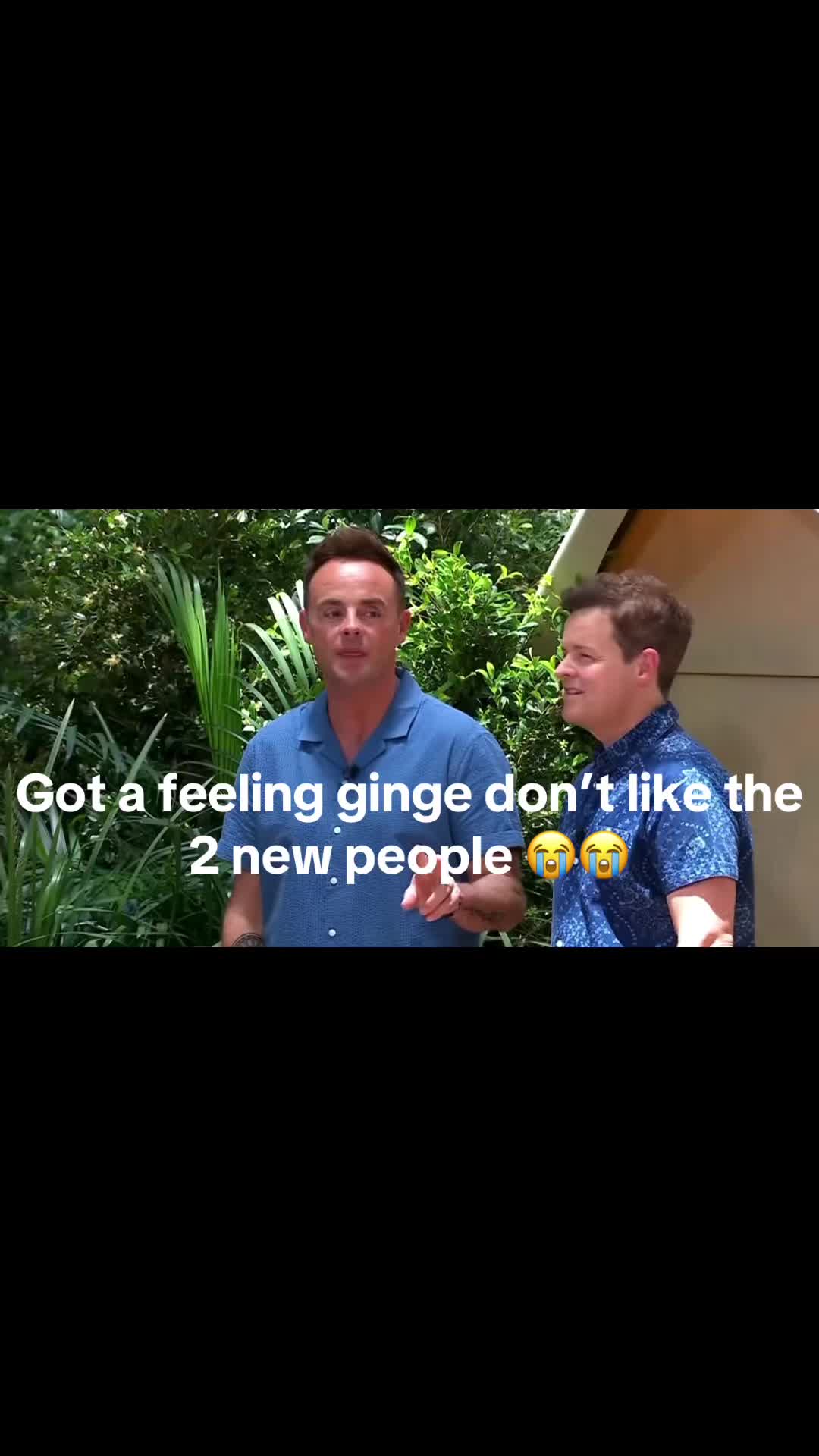 @Alfie_stee