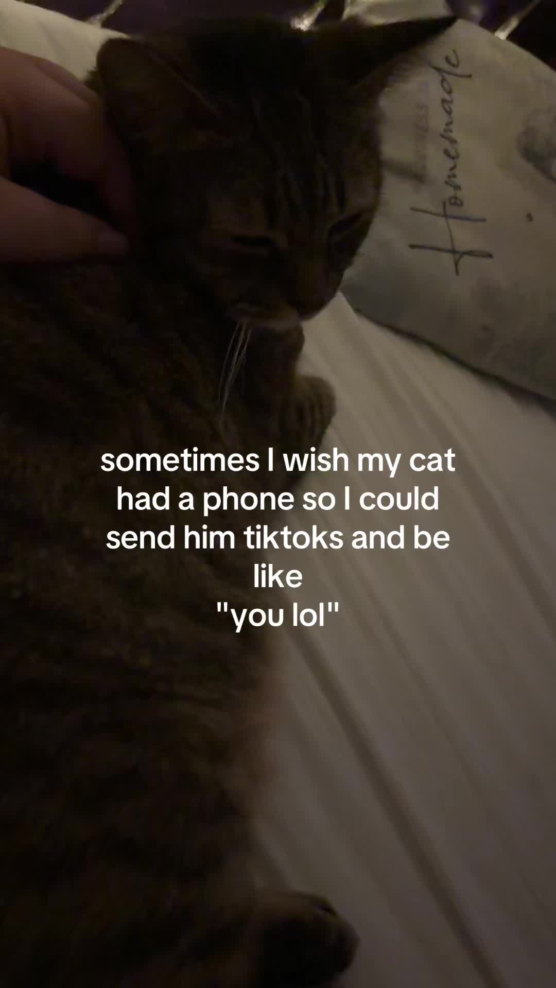@Rebecca 🫶🏻