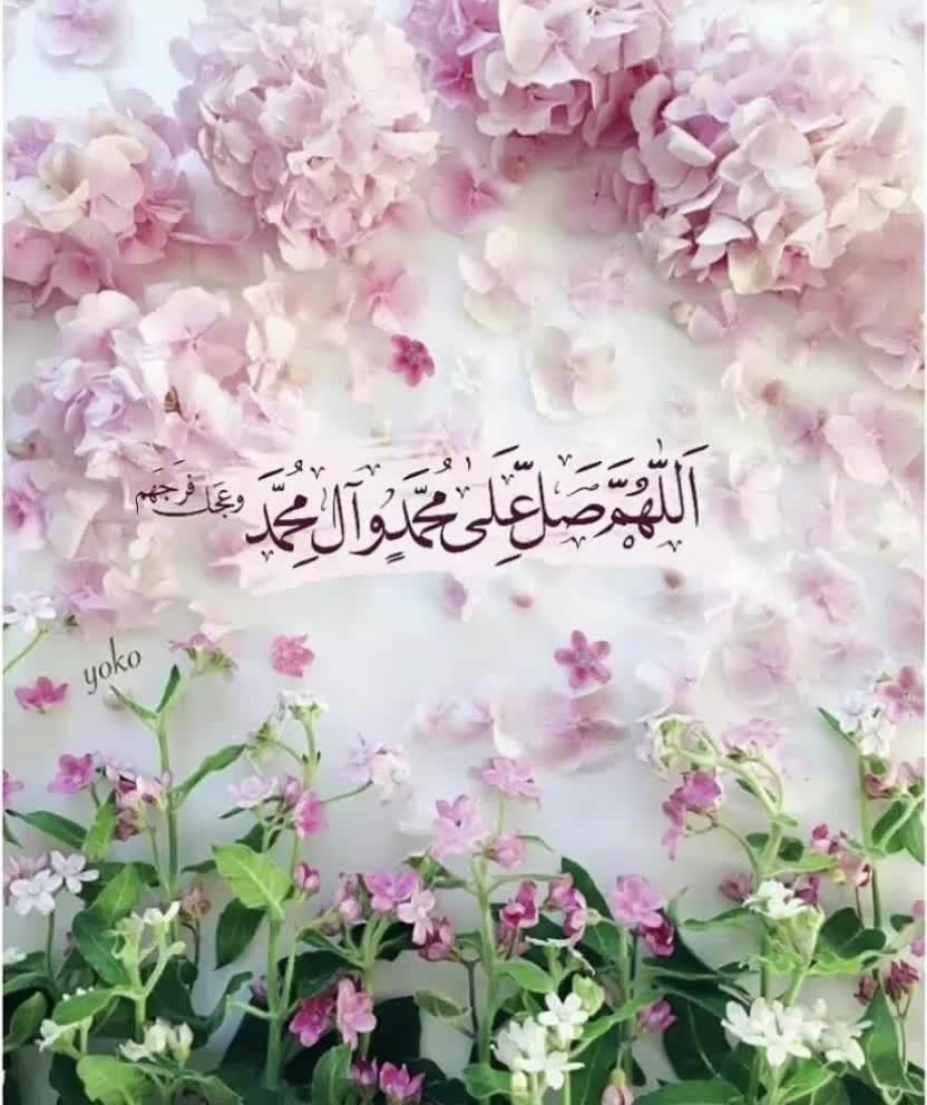 @ALi 🤞🌿 أبو ربيع 🌿