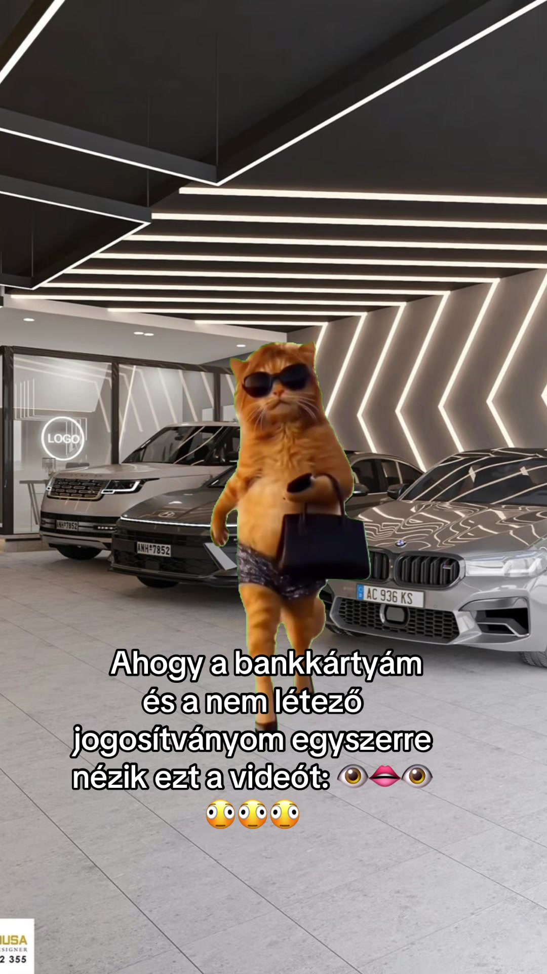 @S&aacute;pi Rami