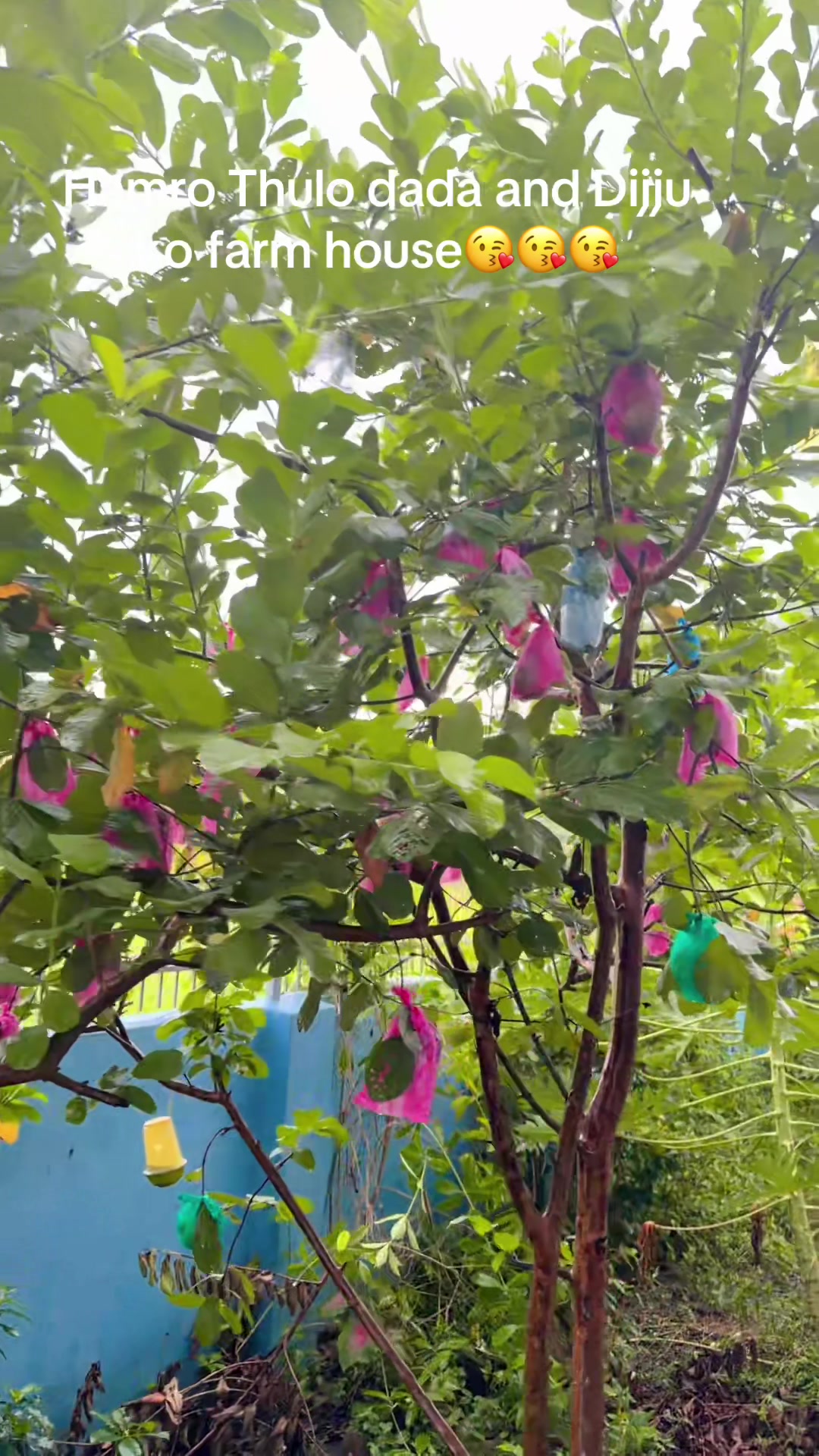 @प्रज्ञा राज्यलक्ष्मी राणा