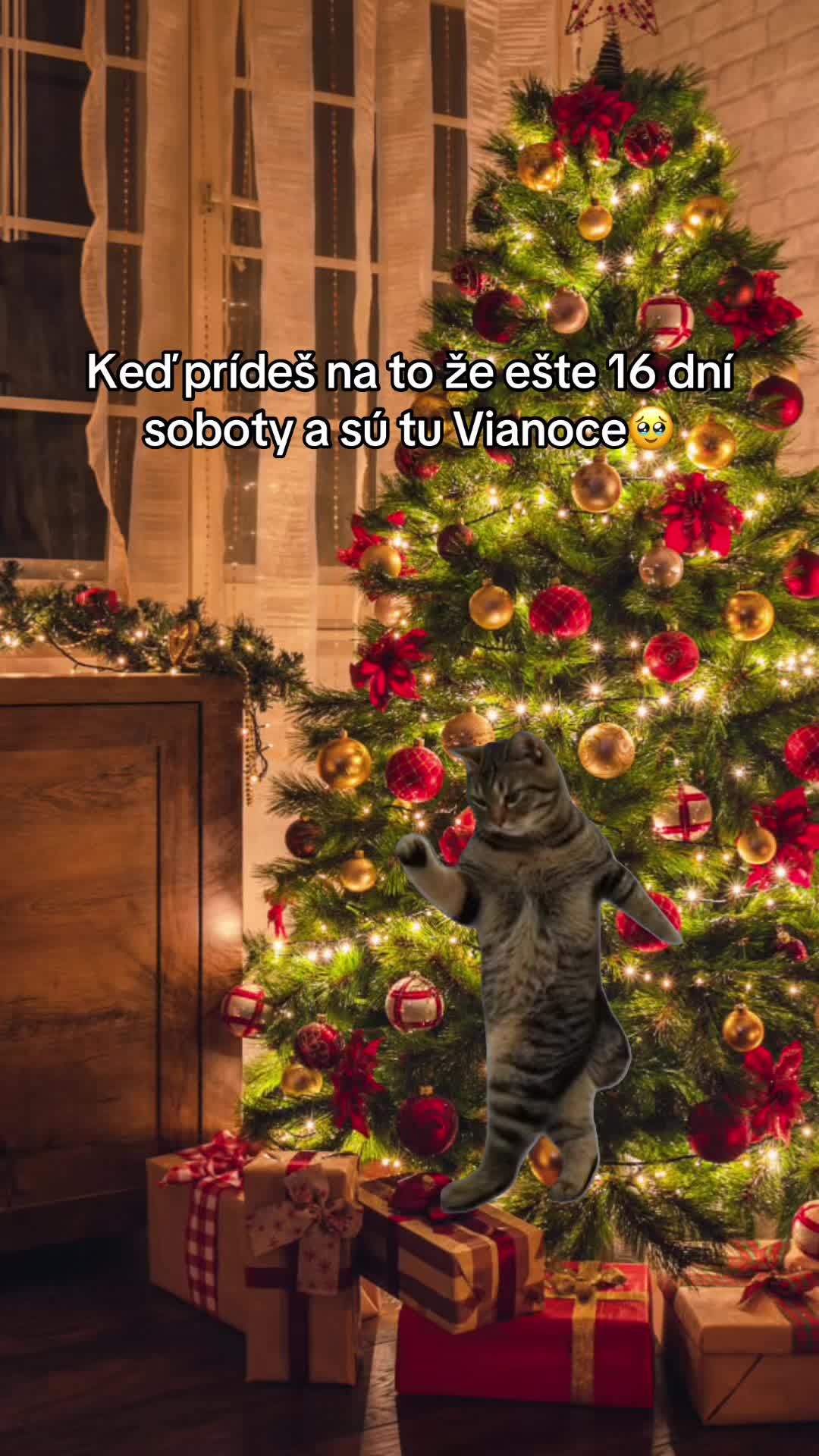 @Marek25