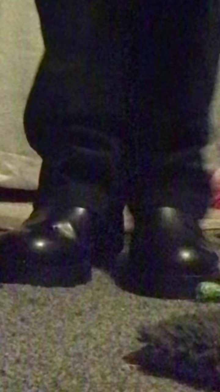 @PapaPerpetual