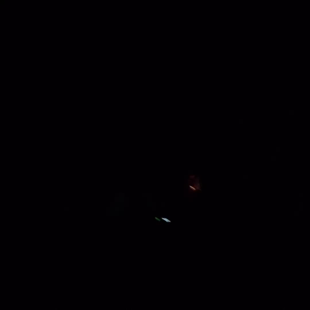 @anthony183493