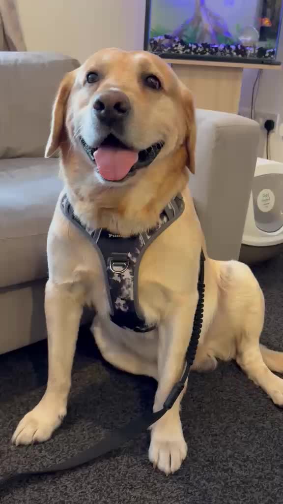 @Marley..🐾❤️