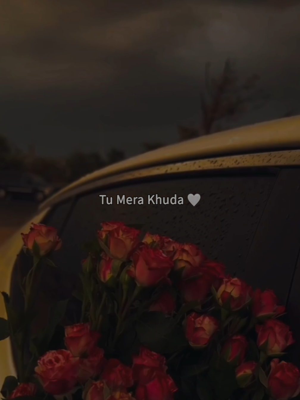 @𝗠𝗶𝗱𝗻𝗶𝗴𝗵𝘁 𝗦𝗼𝘂𝗹 🌙