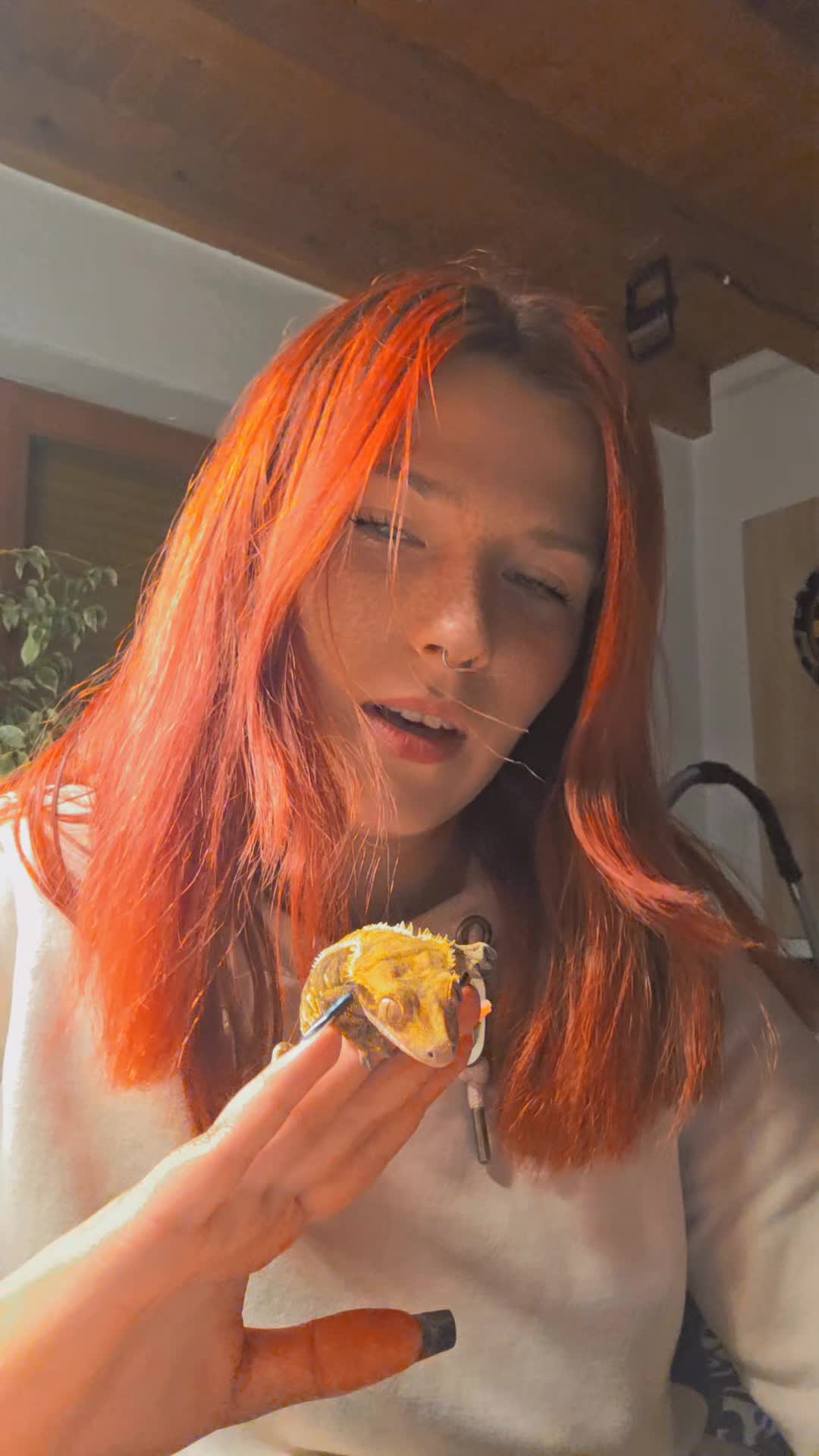 @frxnzis_live