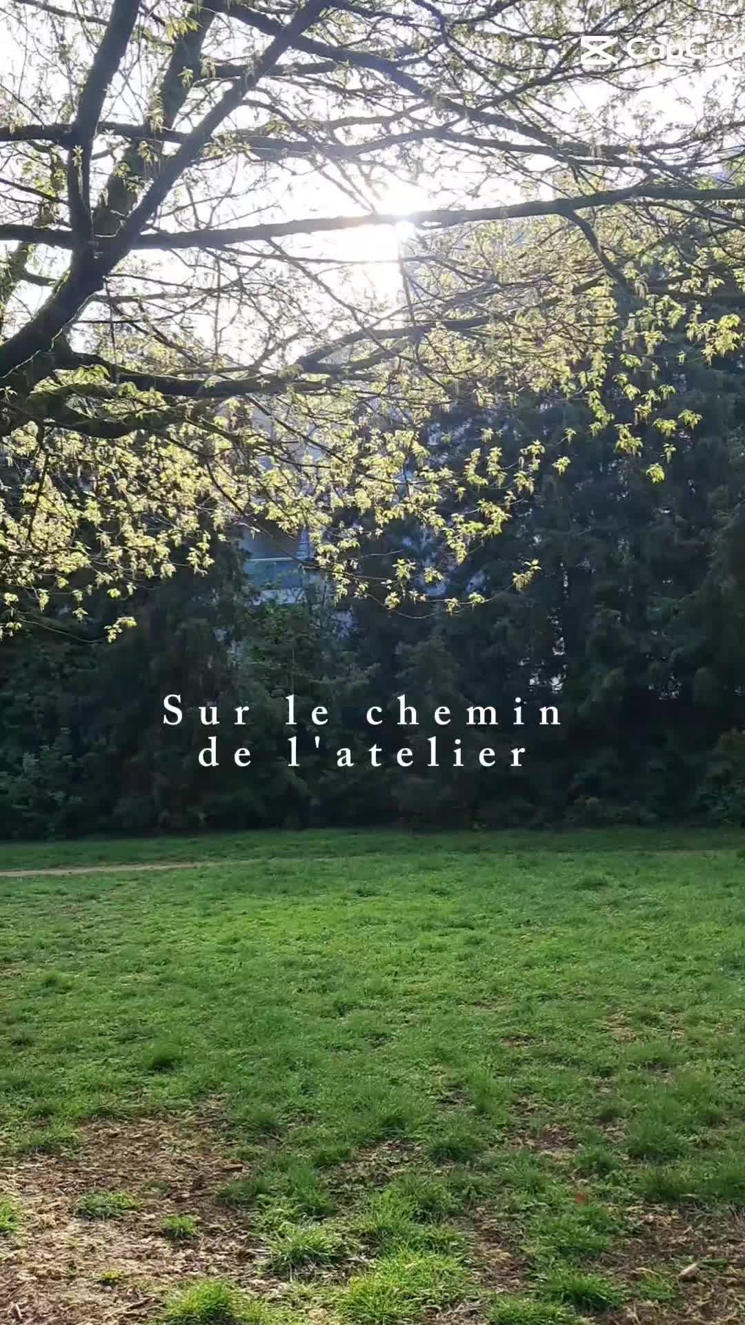@Stéphanie Verger