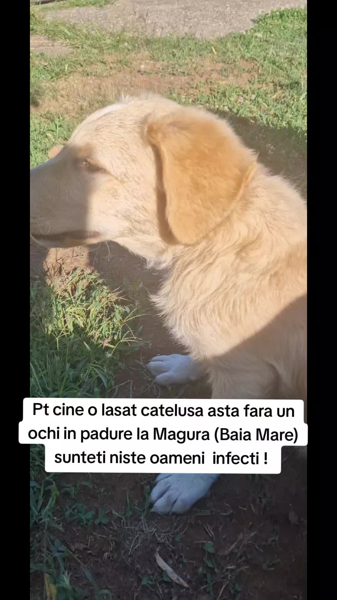 @Gianina