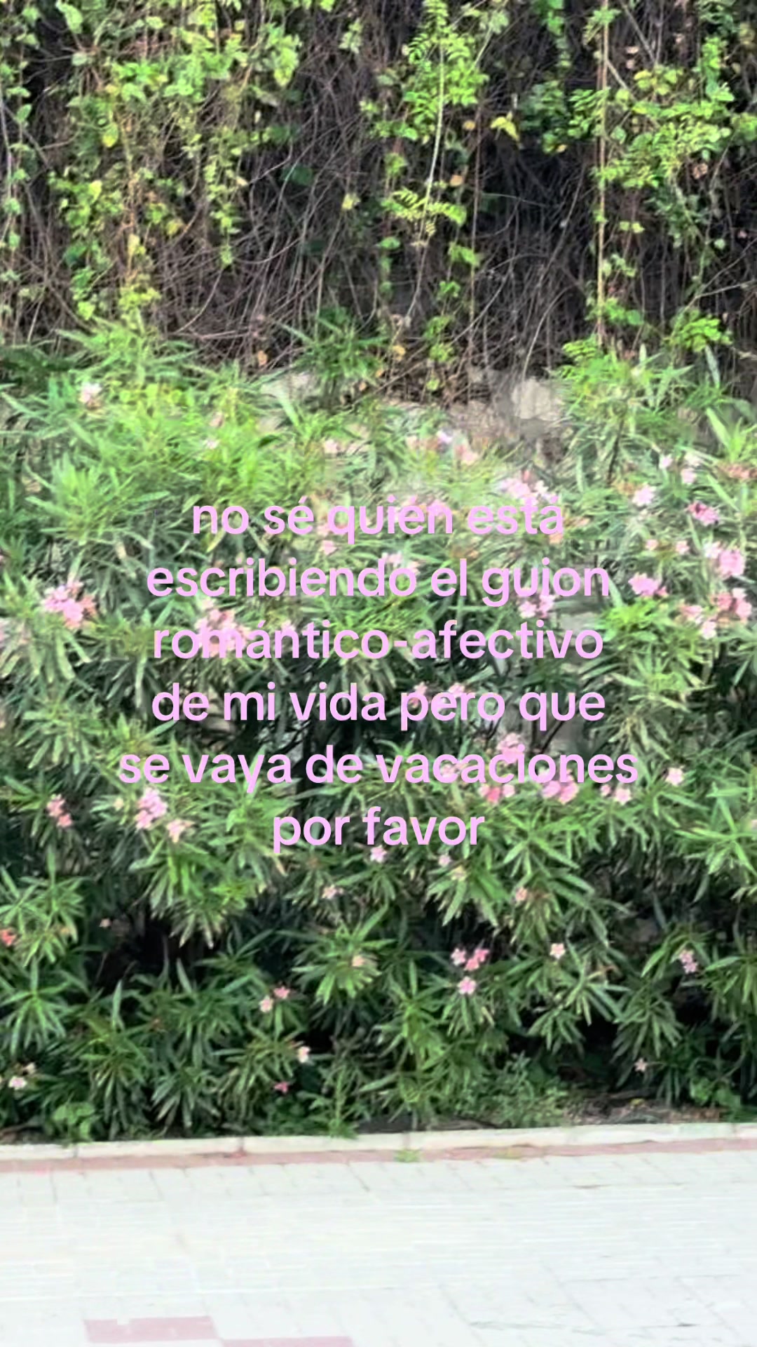 @HANNAN HEREDIA