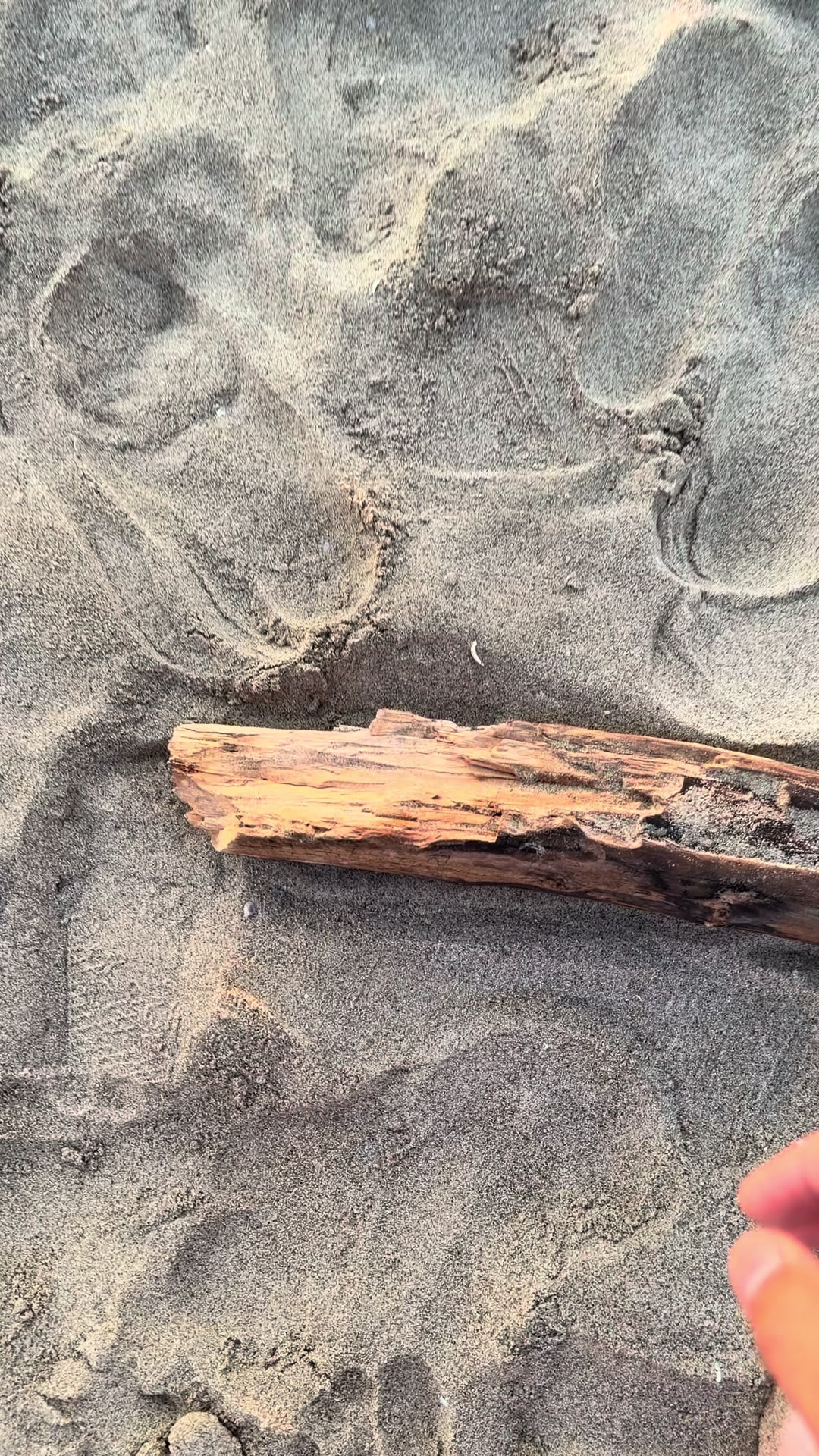 @🃏FLORIN🃏
