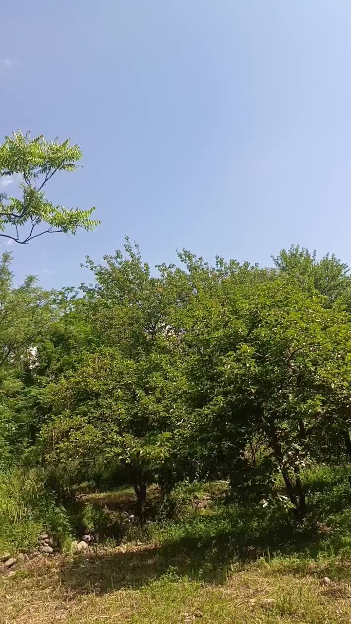 @AKhondi