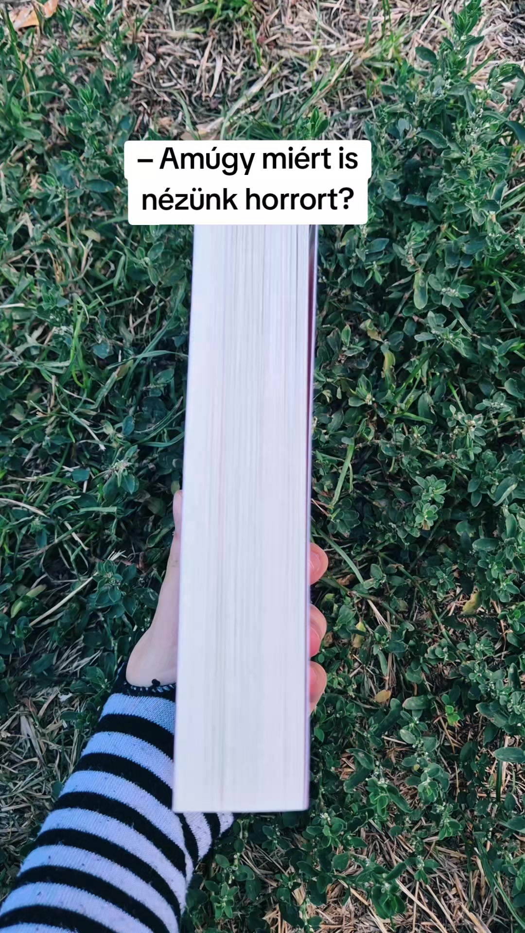 @Mezőföldi Pitypang író✍️
