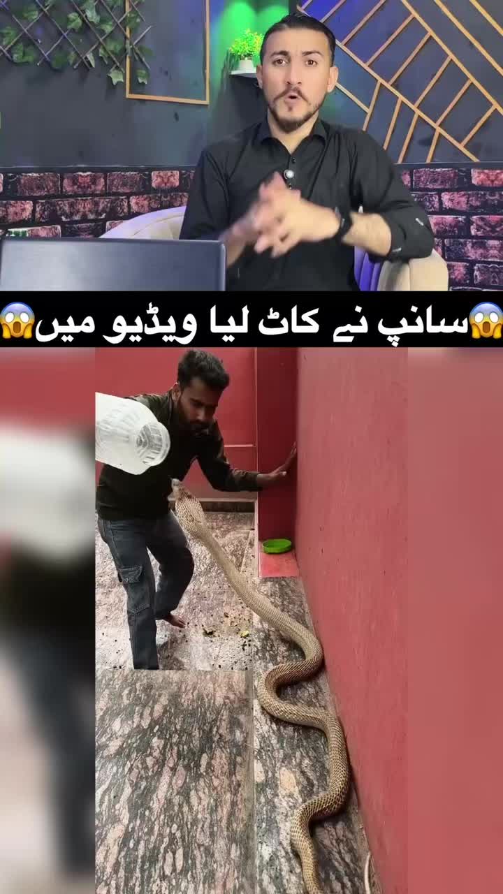 @Shakeel official 2 🐓✅