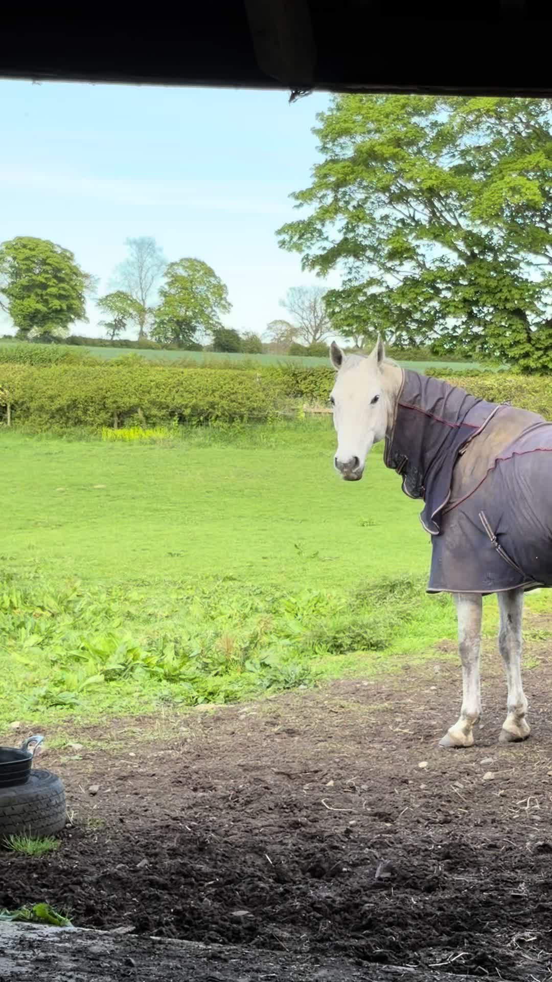 @Attempting to ride❤️