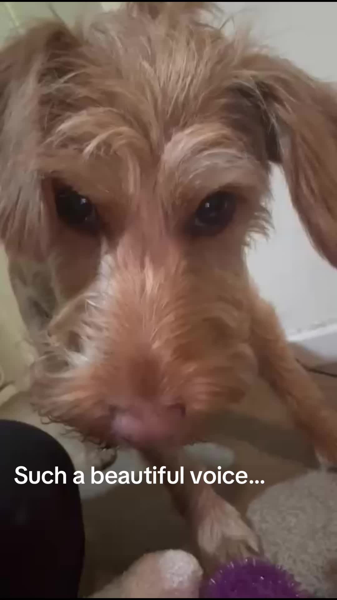 @Samxxxc