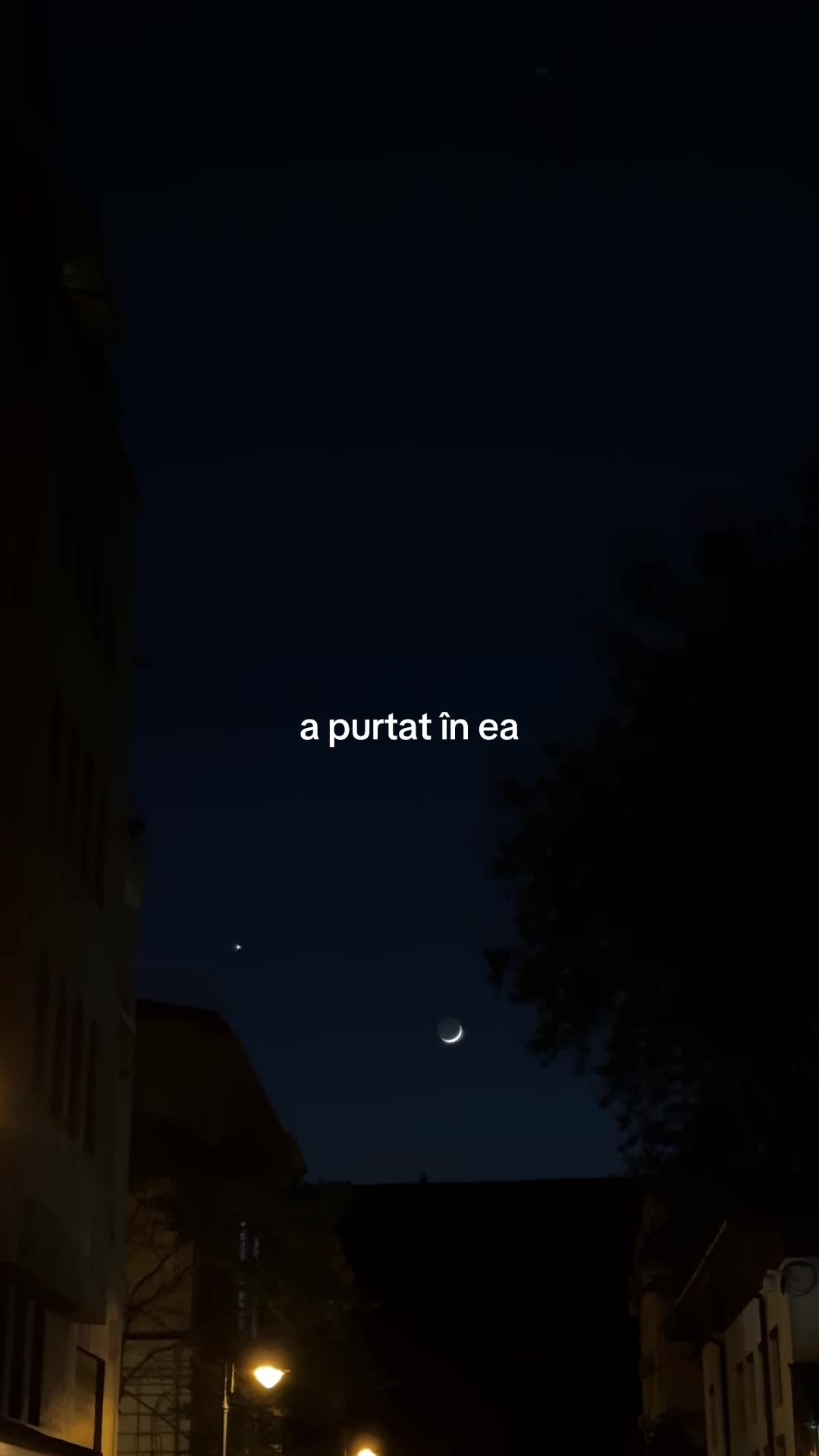 @robertaroata