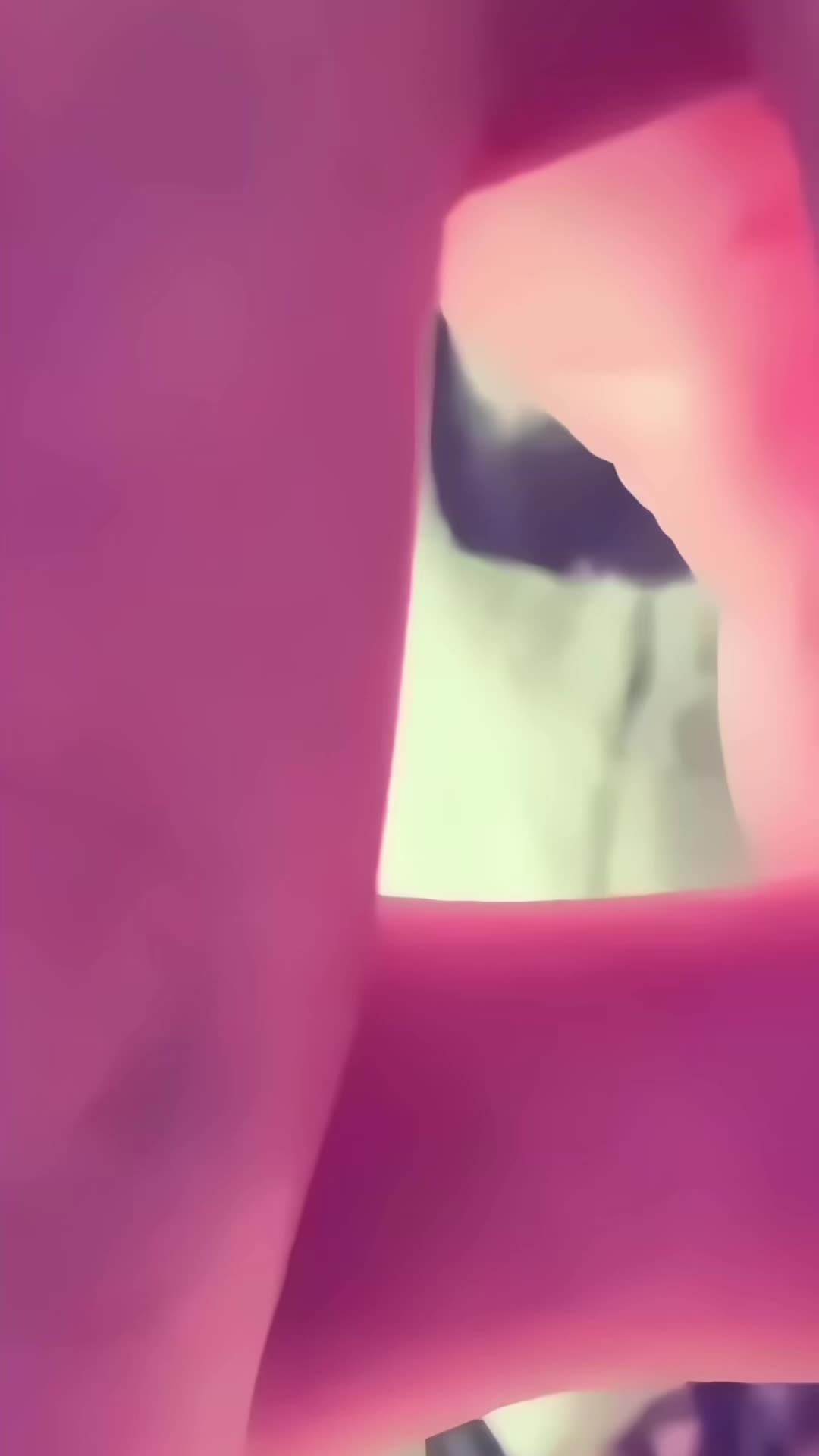 @fancams